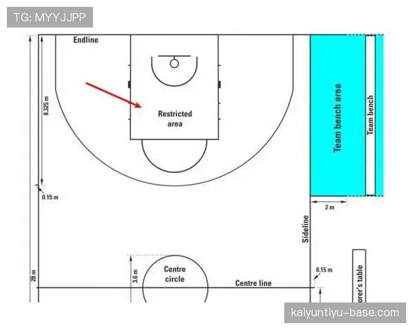 NBA视频回放判罚规则详解：如何影响比赛最终走向